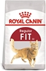 Picture of Royal Canin Fit Cat Food for Adult Cats
